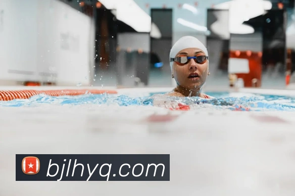 百家乐网站平台生态图